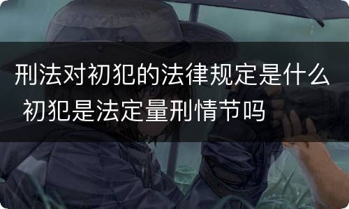 刑法对初犯的法律规定是什么 初犯是法定量刑情节吗