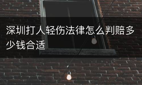 深圳打人轻伤法律怎么判赔多少钱合适
