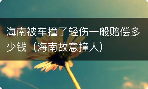 海南被车撞了轻伤一般赔偿多少钱（海南故意撞人）