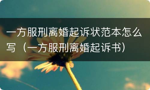 一方服刑离婚起诉状范本怎么写（一方服刑离婚起诉书）