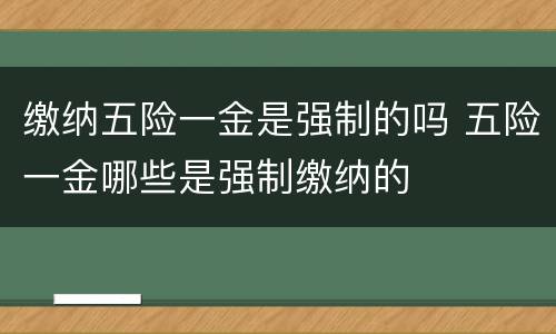 缴纳五险一金是强制的吗 五险一金哪些是强制缴纳的