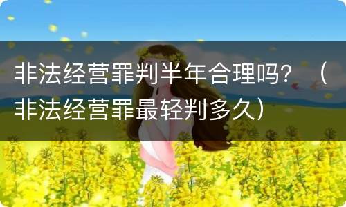 非法经营罪判半年合理吗？（非法经营罪最轻判多久）