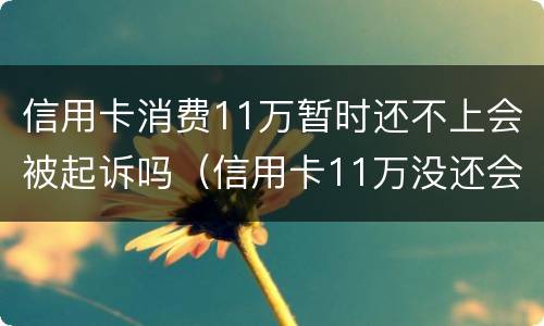 信用卡消费11万暂时还不上会被起诉吗（信用卡11万没还会不会被判刑）