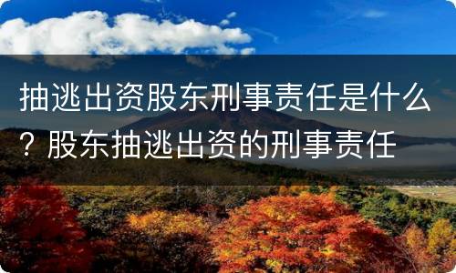 抽逃出资股东刑事责任是什么? 股东抽逃出资的刑事责任