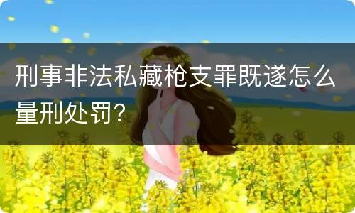 刑事非法私藏枪支罪既遂怎么量刑处罚？