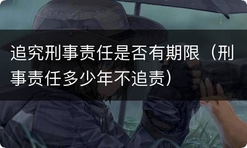 追究刑事责任是否有期限（刑事责任多少年不追责）