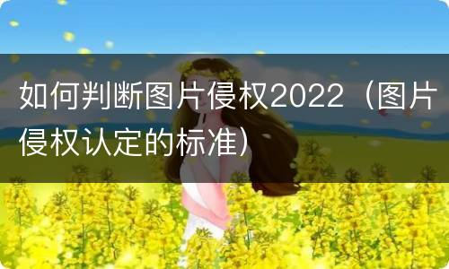 如何判断图片侵权2022（图片侵权认定的标准）