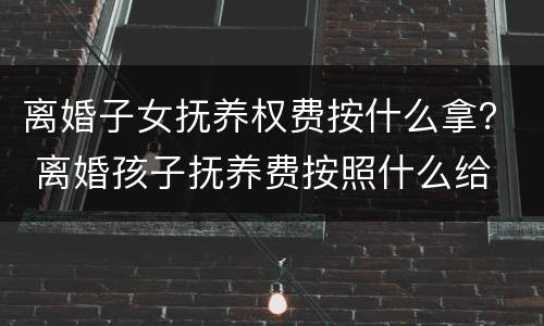 离婚子女抚养权费按什么拿？ 离婚孩子抚养费按照什么给