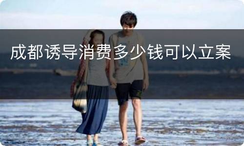 成都诱导消费多少钱可以立案