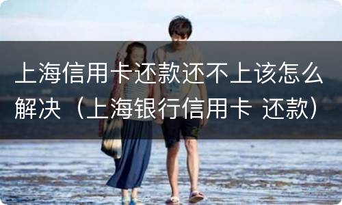 上海信用卡还款还不上该怎么解决（上海银行信用卡 还款）