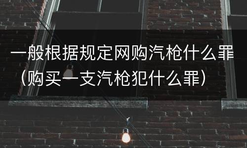 一般根据规定网购汽枪什么罪（购买一支汽枪犯什么罪）