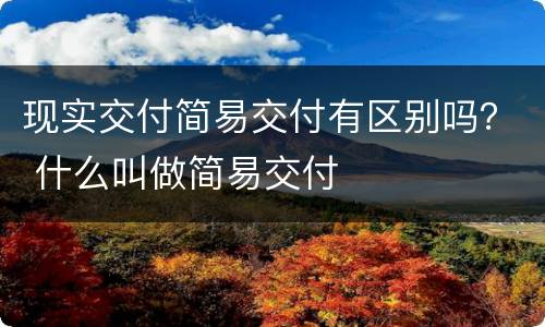 现实交付简易交付有区别吗？ 什么叫做简易交付
