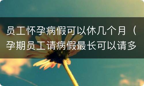 员工怀孕病假可以休几个月（孕期员工请病假最长可以请多久）