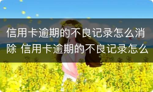 信用卡逾期的不良记录怎么消除 信用卡逾期的不良记录怎么消除掉