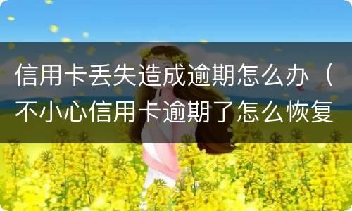 信用卡丢失造成逾期怎么办（不小心信用卡逾期了怎么恢复）