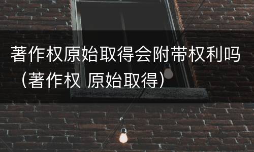 著作权原始取得会附带权利吗（著作权 原始取得）