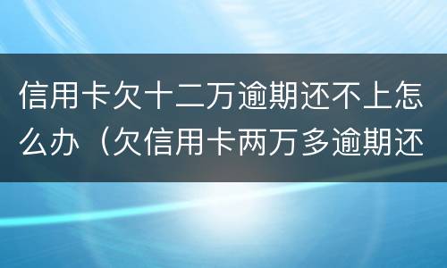 信用卡欠十二万逾期还不上怎么办（欠信用卡两万多逾期还不上怎么办）