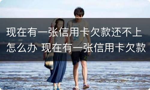 现在有一张信用卡欠款还不上怎么办 现在有一张信用卡欠款还不上怎么办呢