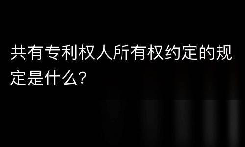 共有专利权人所有权约定的规定是什么？