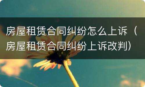 房屋租赁合同纠纷怎么上诉（房屋租赁合同纠纷上诉改判）