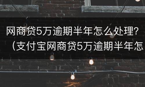 网商贷5万逾期半年怎么处理？（支付宝网商贷5万逾期半年怎么办）