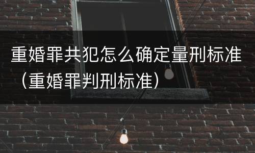 重婚罪共犯怎么确定量刑标准（重婚罪判刑标准）
