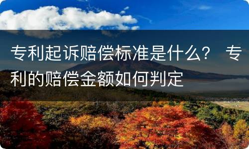 专利起诉赔偿标准是什么？ 专利的赔偿金额如何判定
