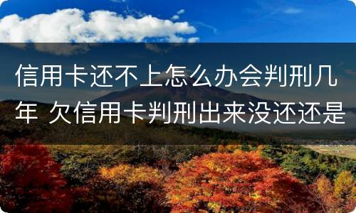 信用卡还不上怎么办会判刑几年 欠信用卡判刑出来没还还是要判刑吗