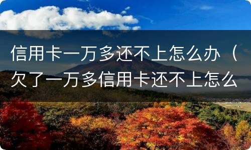 信用卡一万多还不上怎么办（欠了一万多信用卡还不上怎么办）