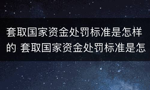 套取国家资金处罚标准是怎样的 套取国家资金处罚标准是怎样的呢