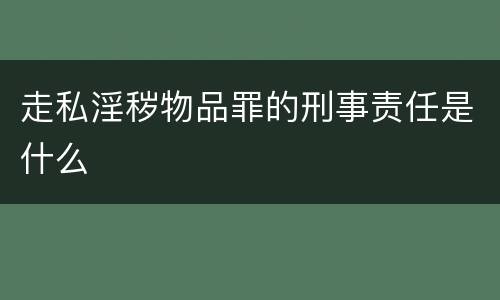 走私淫秽物品罪的刑事责任是什么