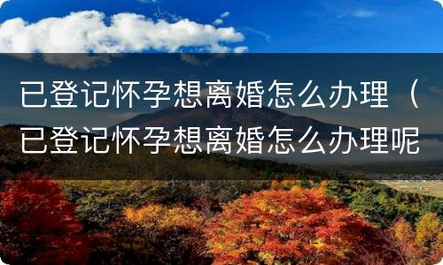 已登记怀孕想离婚怎么办理（已登记怀孕想离婚怎么办理呢）