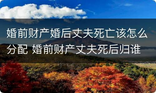 婚前财产婚后丈夫死亡该怎么分配 婚前财产丈夫死后归谁