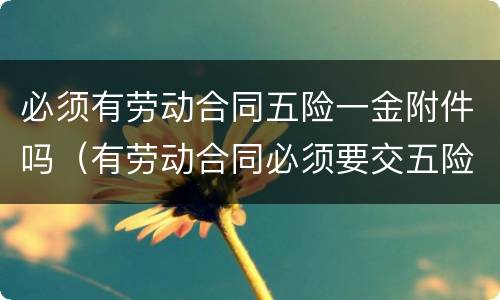 必须有劳动合同五险一金附件吗（有劳动合同必须要交五险一金吗?）