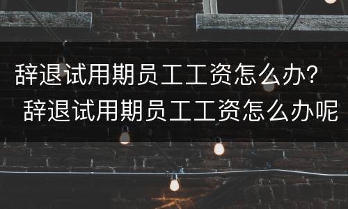 辞退试用期员工工资怎么办？ 辞退试用期员工工资怎么办呢