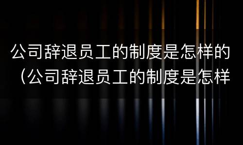 公司辞退员工的制度是怎样的（公司辞退员工的制度是怎样的形式）
