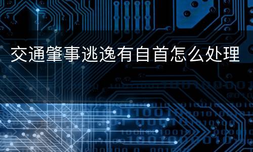 交通肇事逃逸有自首怎么处理