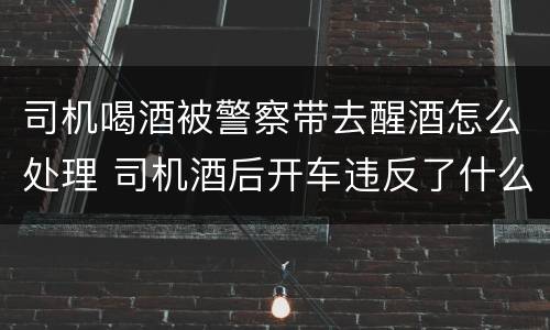 司机喝酒被警察带去醒酒怎么处理 司机酒后开车违反了什么法律