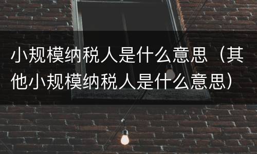 小规模纳税人是什么意思（其他小规模纳税人是什么意思）