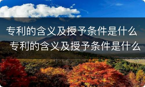 专利的含义及授予条件是什么 专利的含义及授予条件是什么呢