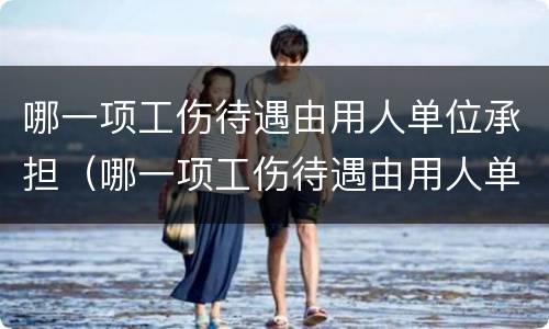 哪一项工伤待遇由用人单位承担（哪一项工伤待遇由用人单位承担责任）
