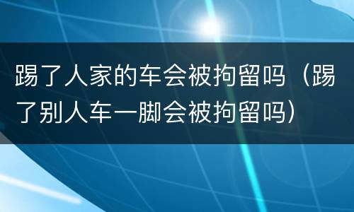 踢了人家的车会被拘留吗（踢了别人车一脚会被拘留吗）