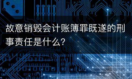 故意销毁会计账簿罪既遂的刑事责任是什么？