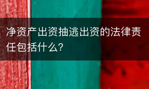 净资产出资抽逃出资的法律责任包括什么？