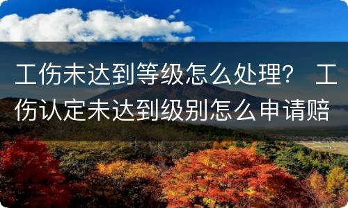 工伤未达到等级怎么处理？ 工伤认定未达到级别怎么申请赔偿