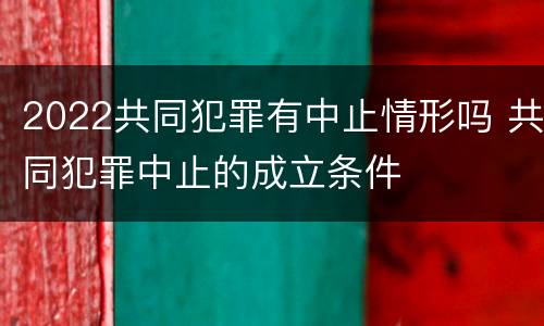 2022共同犯罪有中止情形吗 共同犯罪中止的成立条件