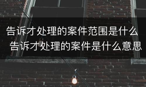 告诉才处理的案件范围是什么 告诉才处理的案件是什么意思