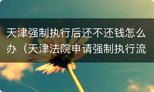 天津强制执行后还不还钱怎么办（天津法院申请强制执行流程）