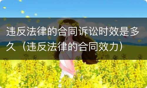 违反法律的合同诉讼时效是多久（违反法律的合同效力）