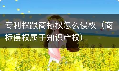 专利权跟商标权怎么侵权（商标侵权属于知识产权）